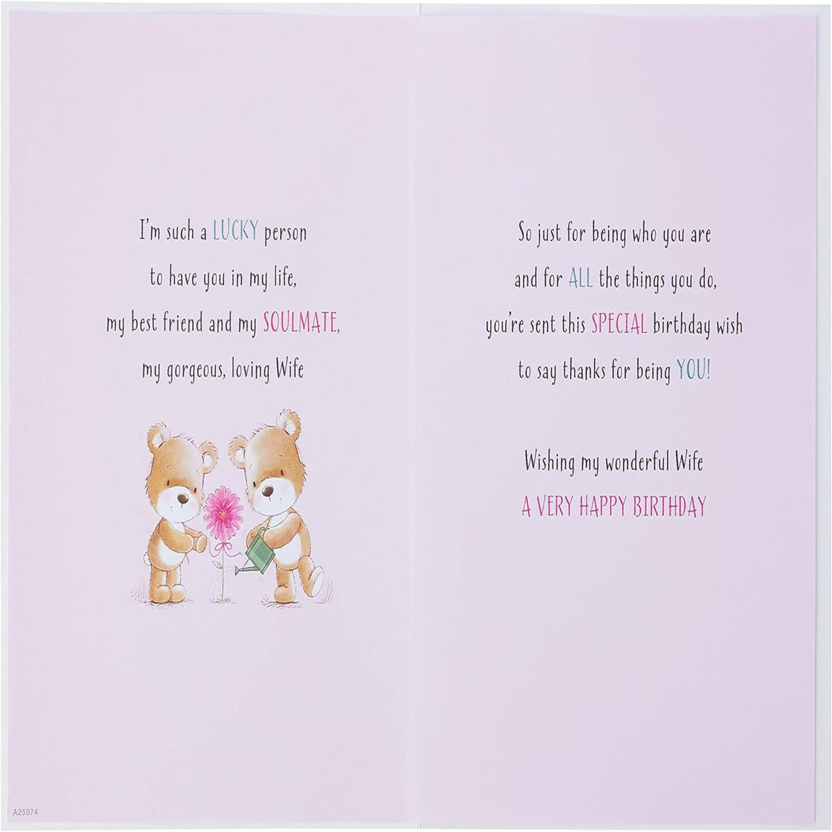 Cute Birthday Card for Wife | Piccadilly Greetings - 9 x 6 inches