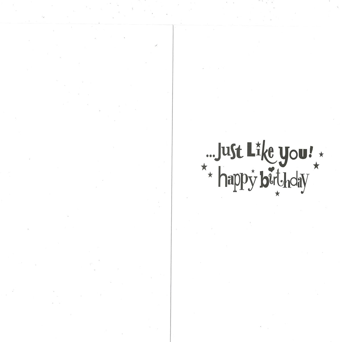 Daughter-in-Law Birthday Card | Amazing Wonderful & Special