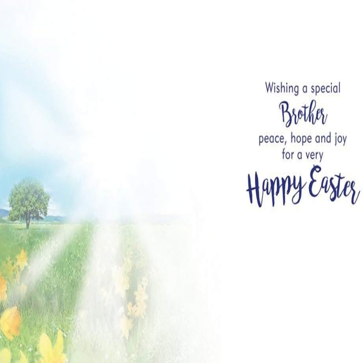 Piccadilly Greetings Traditional Easter Card for Brother - 8 x 6 inches