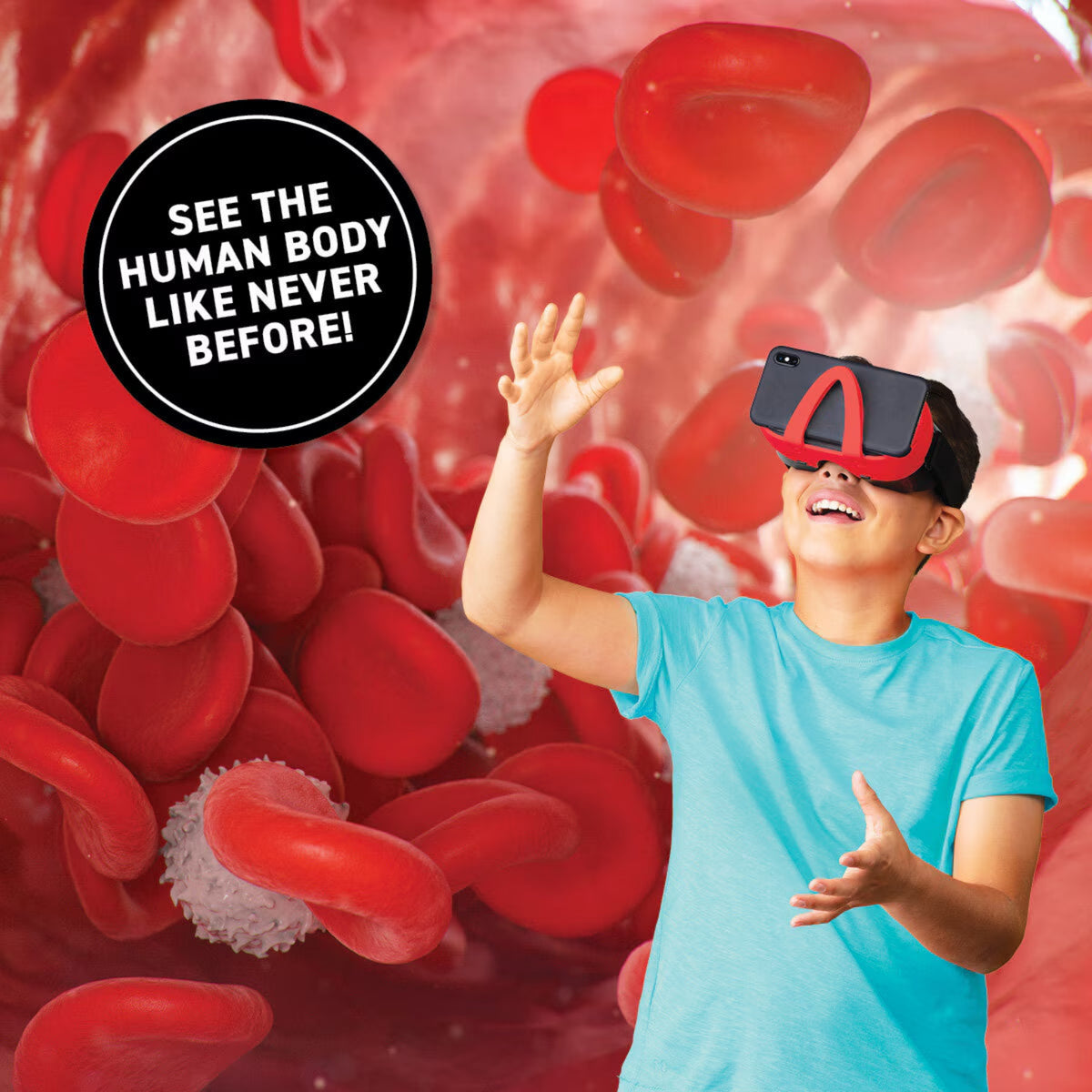 Human Box Build VR Box Set Human Body – Interactive 3D Anatomy Learning Experience ...