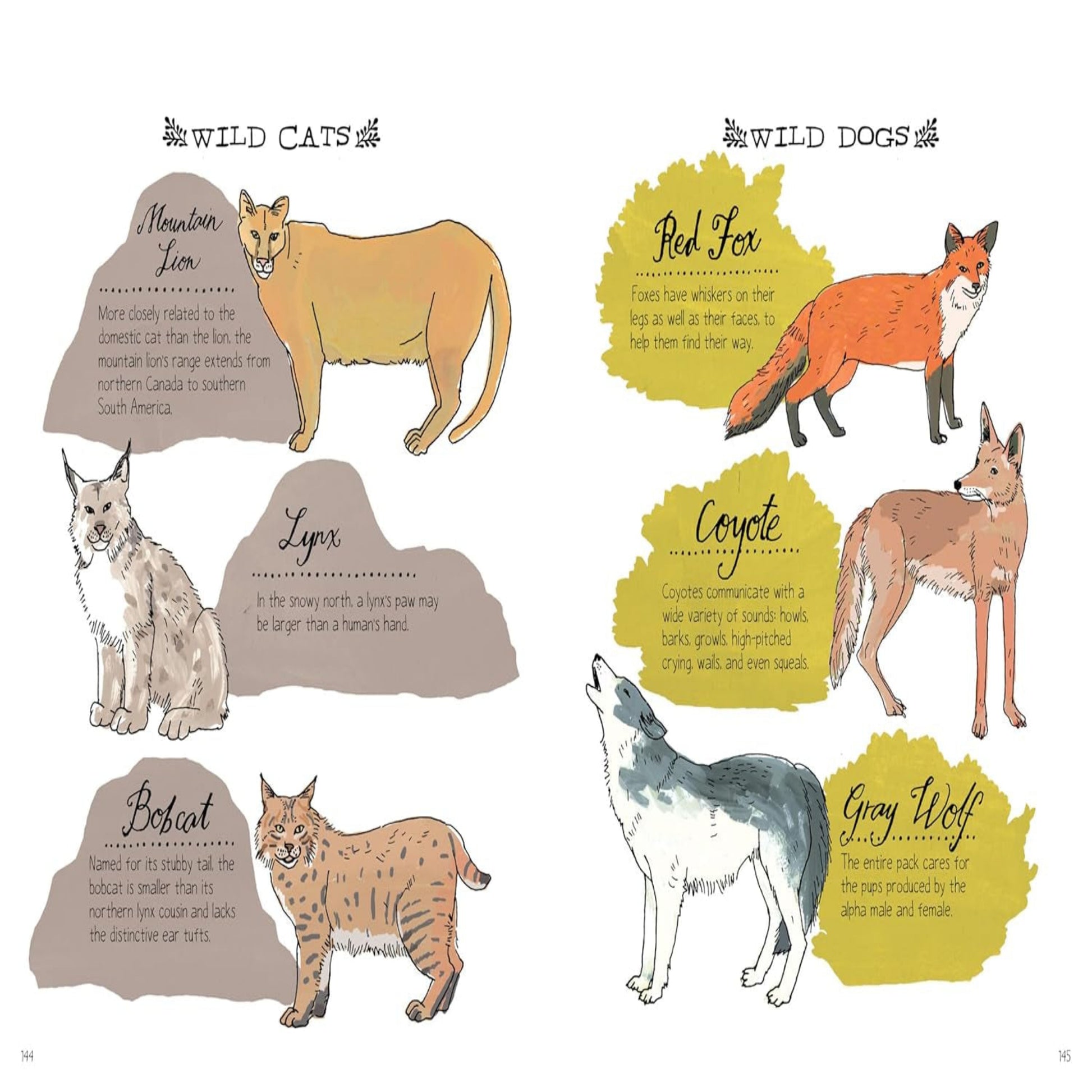 Nature Anatomy: the Curious Parts and Pieces of the Natural World