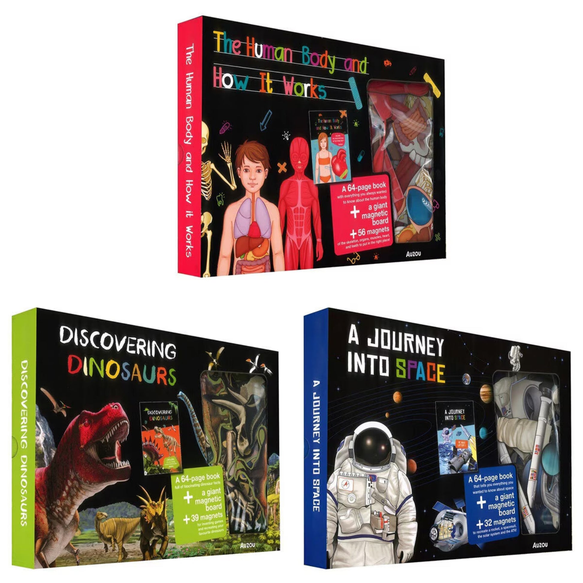 Magnetic Boxes in 3 Options: Human Body, Dinosaurs, Space