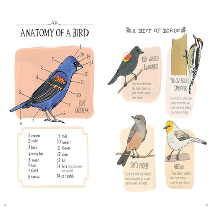Nature Anatomy: the Curious Parts and Pieces of the Natural World