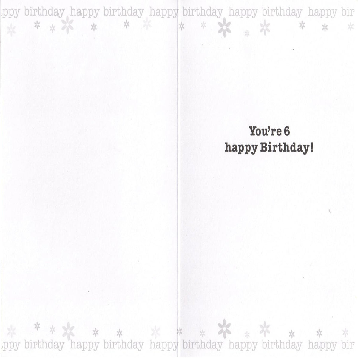 6th Birthday Card for Girl | Happy 6th Birthday Greeting Card    -  ‎  19  x  13 cm