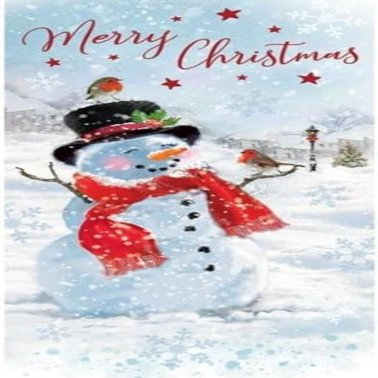 Avant Garde Snowman Christmas Money Wallet Card | Traditional Christmas Card with Money Holder  -  8  x  4 inches