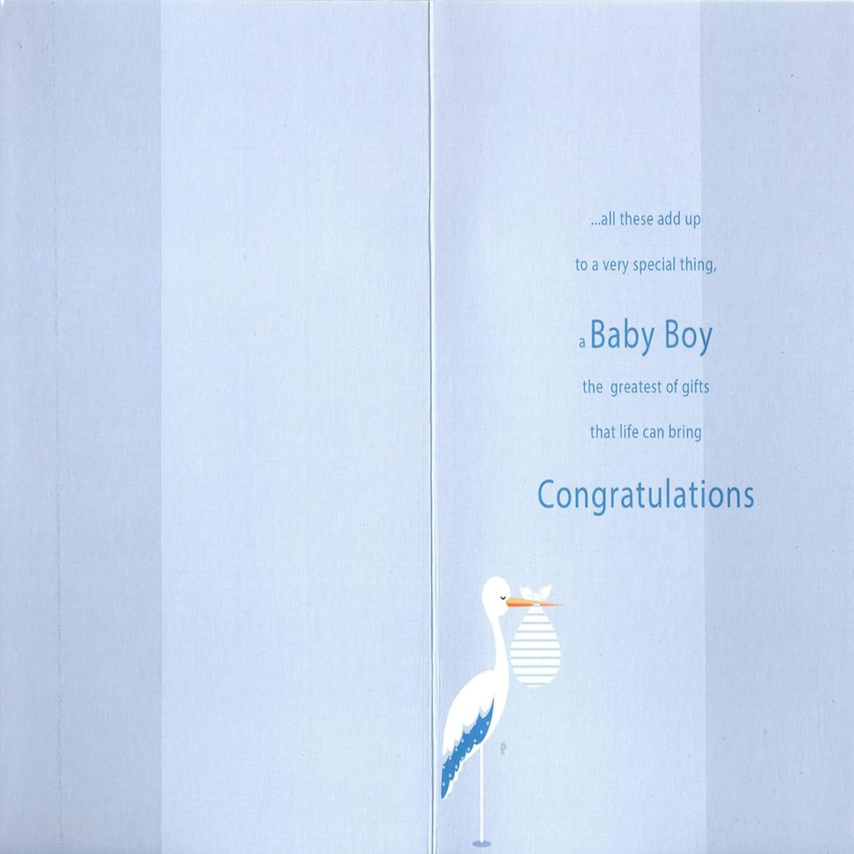 Baby Boy Congratulations Card with Stork & Glitter | New Baby Card   -   134 x 191mm