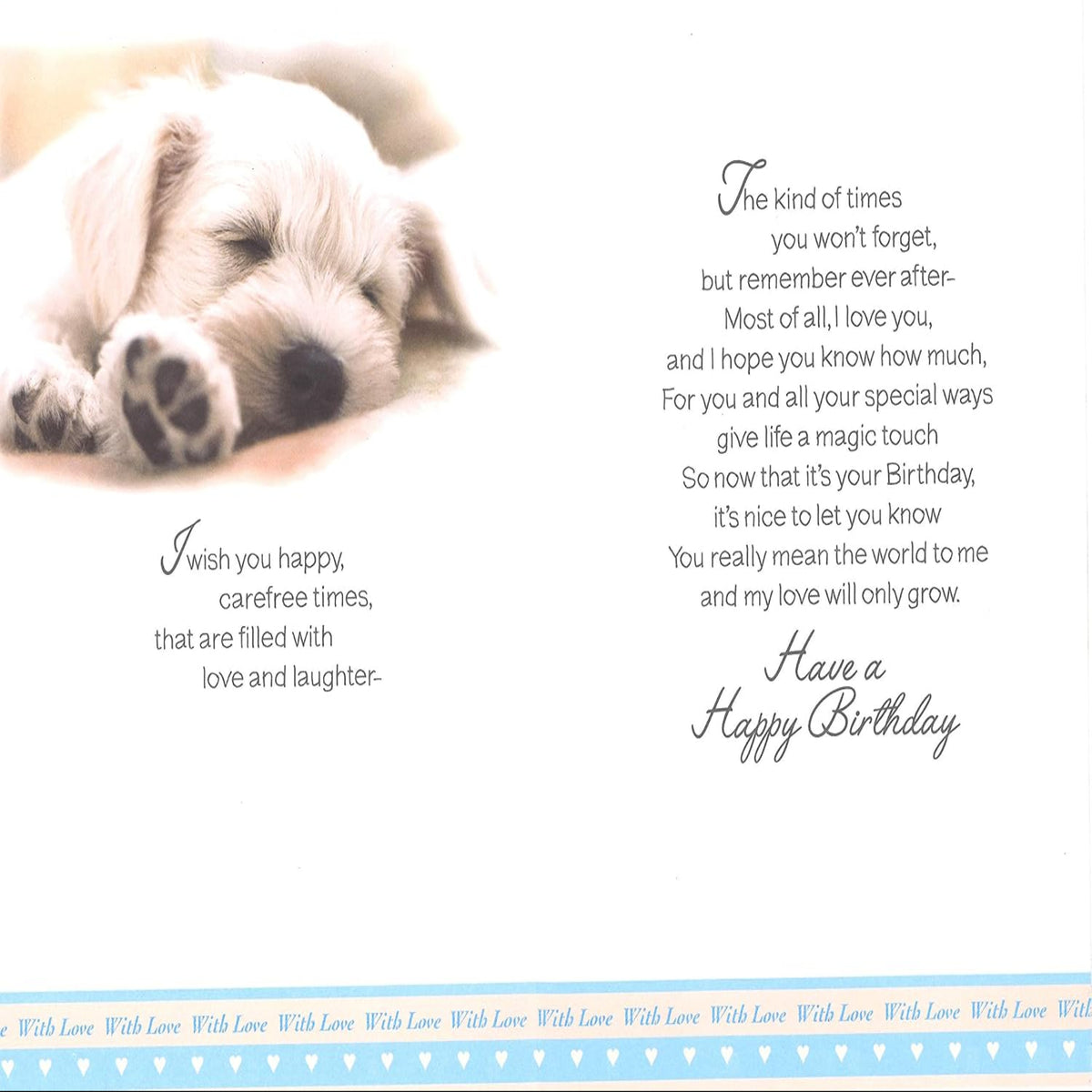 Boyfriend Birthday Card with Sleeping Puppy Dog Design  -  Loving Verse and Gold Foil
