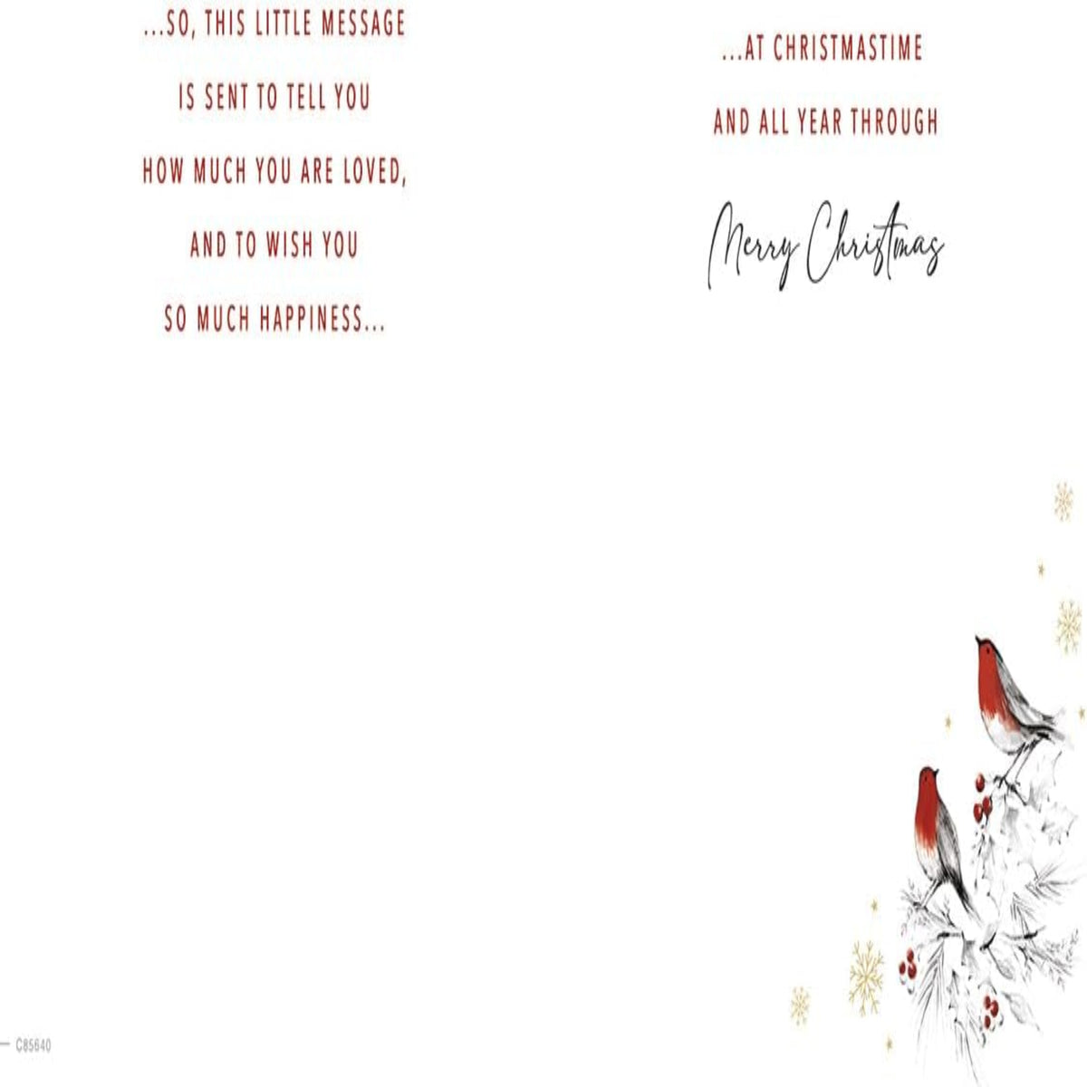 Christmas Card for Special Daughter & Partner  -  9 x 6 inches