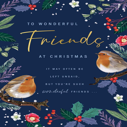 Christmas Card for Wonderful Friends – Robin Christmas Greeting Card  - Avant Garde  -  9  x  6 inches