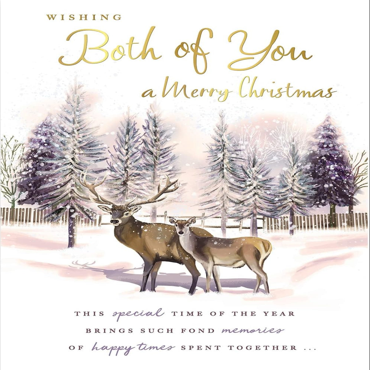 Christmas Card to Both of You | Regal Publishing    -   9   x   6 inches