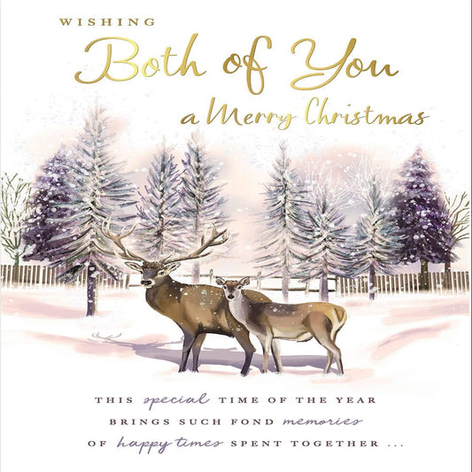 Christmas Card to Both of You | Regal Publishing    -   9   x   6 inches