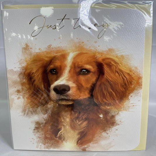 Cute Dog Just to Say Card   –   Premium Greeting Card   -    210  x  290 mm
