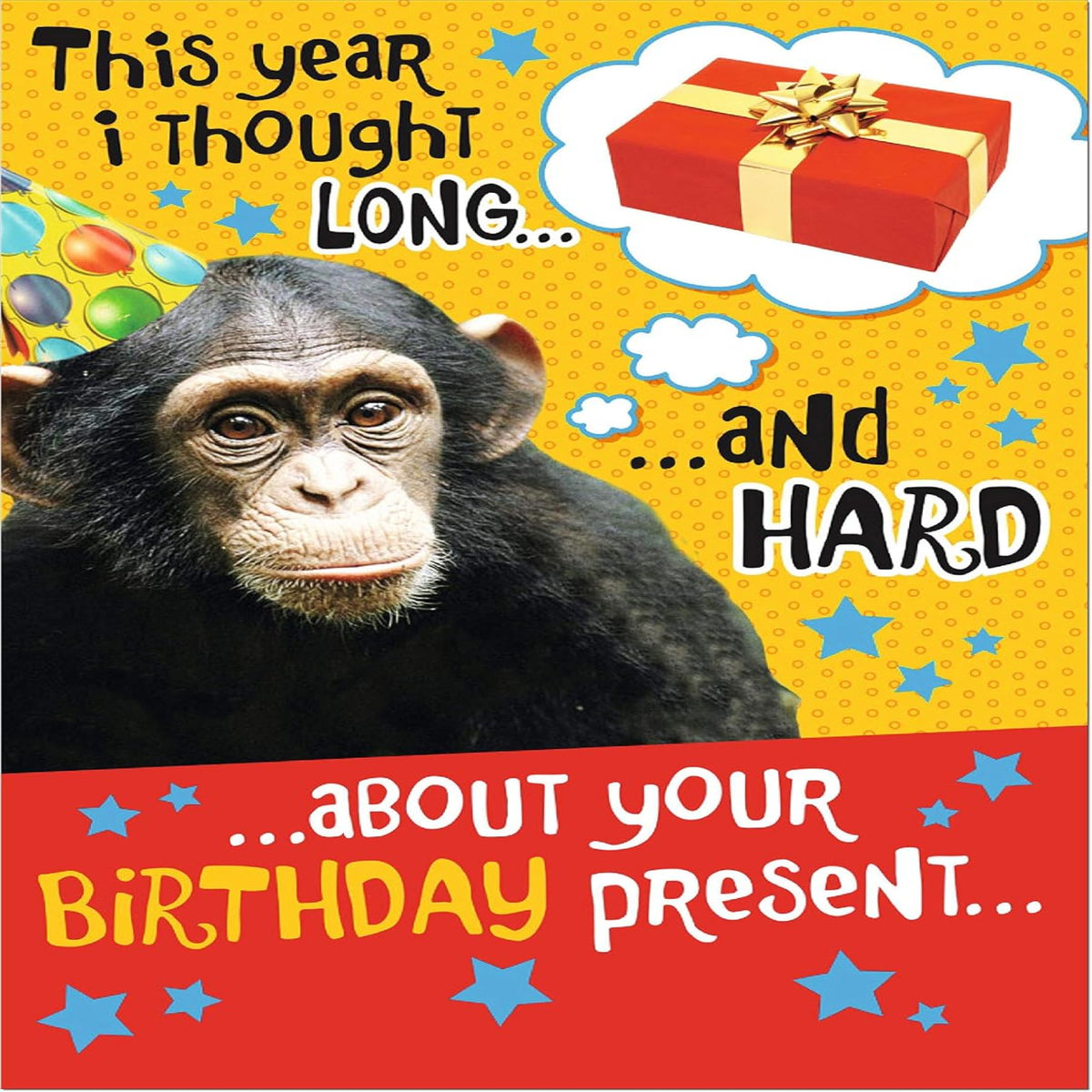 Doodlecards Funny Birthday Card for Him – Humorous Male Birthday Card  -  Medium  -  210  x  290 mm