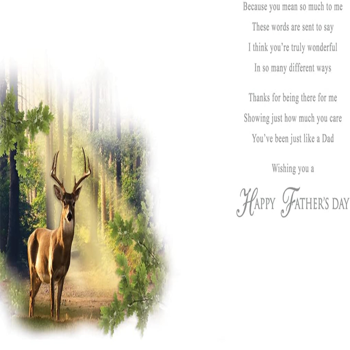 Father's Day Card  –   You're Just Like A Dad   -   9 x 6 inches