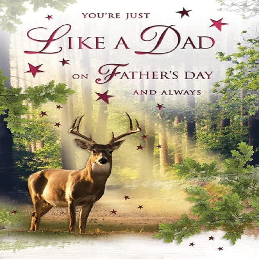 Father's Day Card  –   You're Just Like A Dad   -   9 x 6 inches