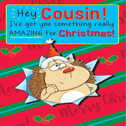 Funny Cousin Christmas Card   –   Humorous Christmas Greeting Card   -  Regal Publishing  -   9 x 6 inches