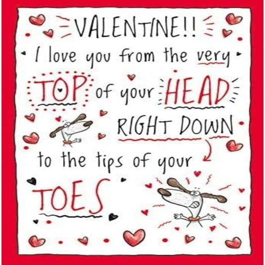 Funny Valentine’s Day Card   –   Regal Publishing Humour Card   -   9  x  6 inches