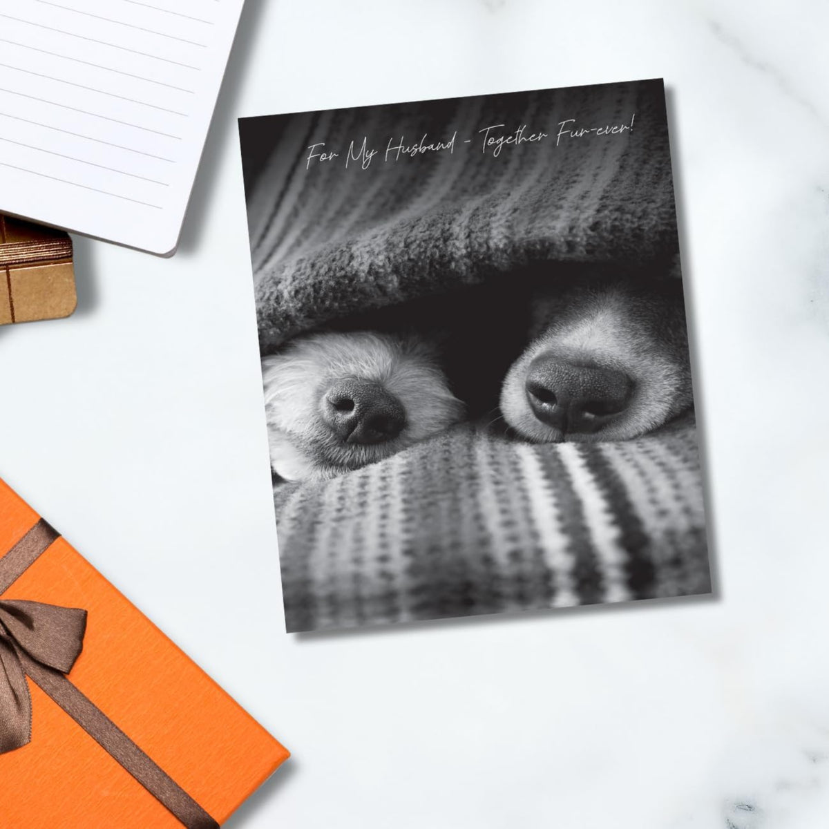 Emotional Rescue Husband Birthday Card with Dogs Under Blanket  -   Greyscale   -  6 x 7 inches