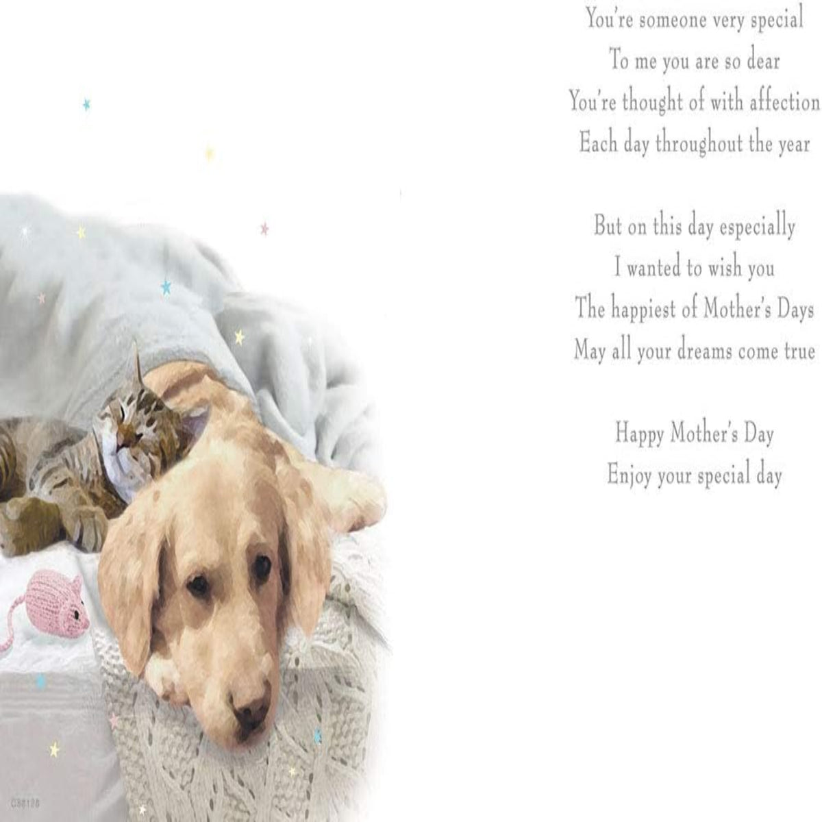 Mother’s Day Card   -  Regal Publishing    -   9  x  6  inches