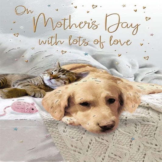 Mother’s Day Card   -  Regal Publishing    -   9  x  6  inches