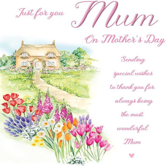 Mother’s Day Card for Mum – Just for You   -  Regal Publishing  -   9   x   6  inches