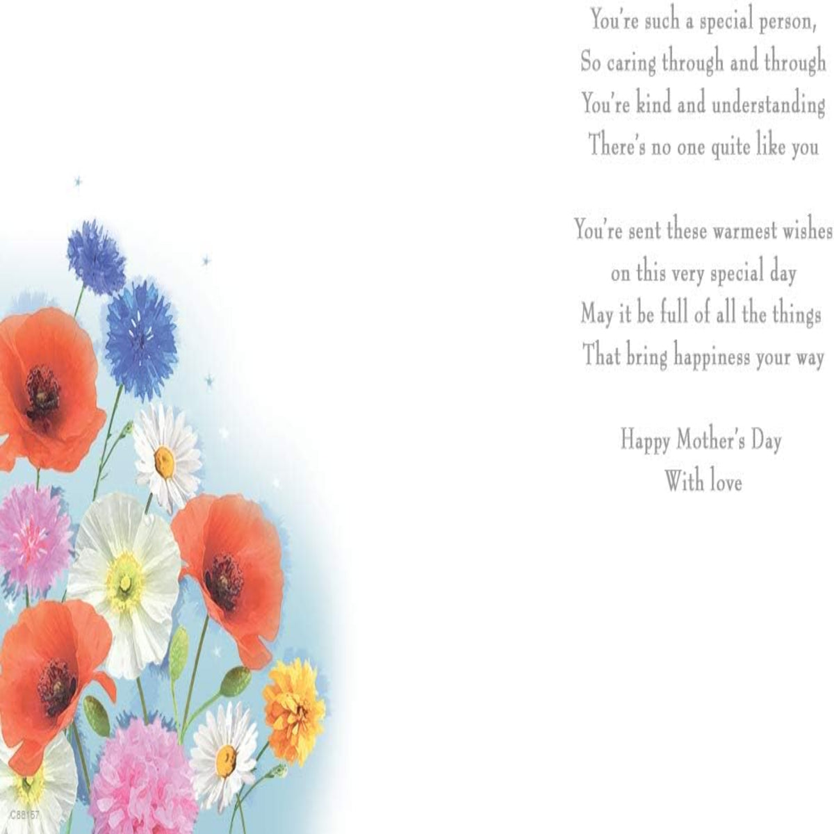 Mother’s Day Card for Someone Special   -   9  x  6 inches