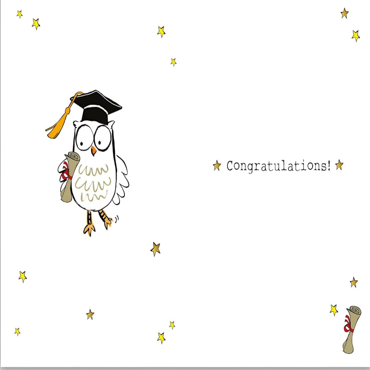 Nigel Quiney Funny Graduation Congratulations Card  –  Owl Exciting Graduation Card for Men & Women  -  178  x  127 mm