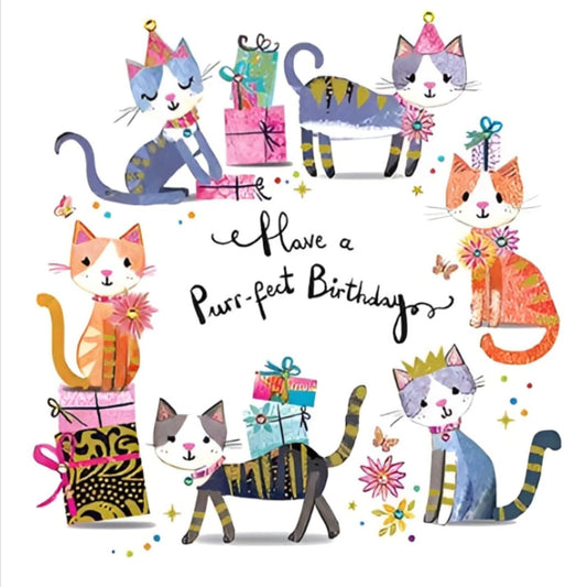 Paper Rose Cat Birthday Card for Women and Girls   –    Purr-fect Birthday Design    -     158   x   158mm