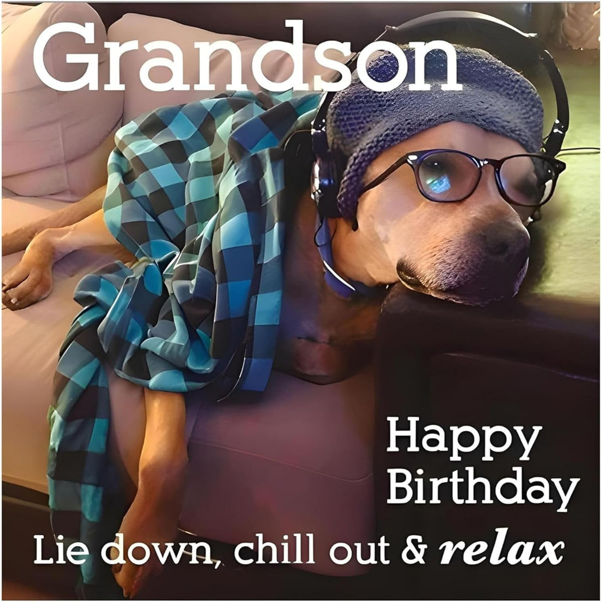 Paper Rose Funny Grandson Birthday Card | Dog on Sofa Humorous Birthday Card     -    165  x  165mm