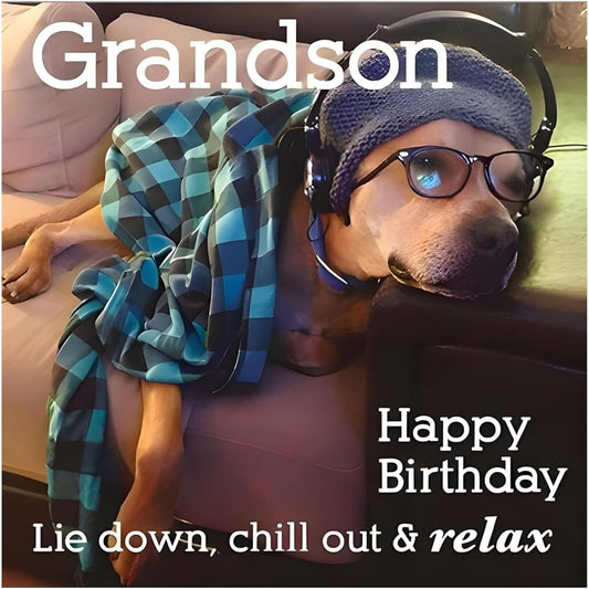 Paper Rose Funny Grandson Birthday Card | Dog on Sofa Humorous Birthday Card     -    165  x  165mm