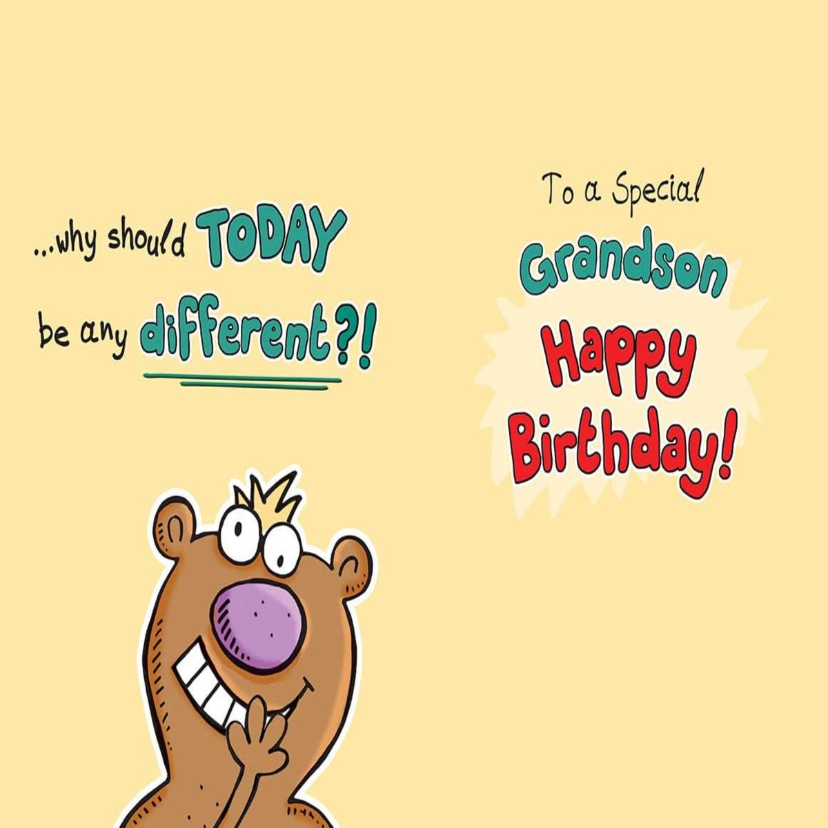 Piccadilly Greetings Birthday Card for Grandson   -    9  x  6  inches