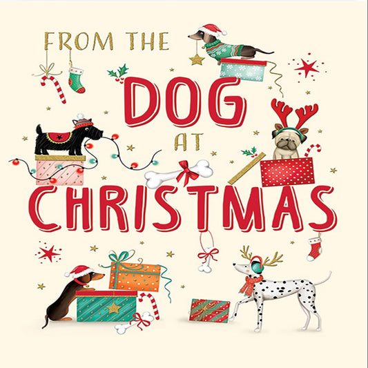 Piccadilly Greetings Christmas Card From The Dog  -  8 x 6 inches