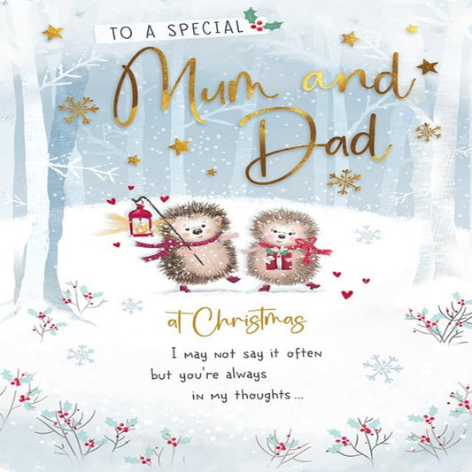 Piccadilly Greetings Christmas Card for Special Mum & Dad – Hedgehog Pair - 9 x 6 inches