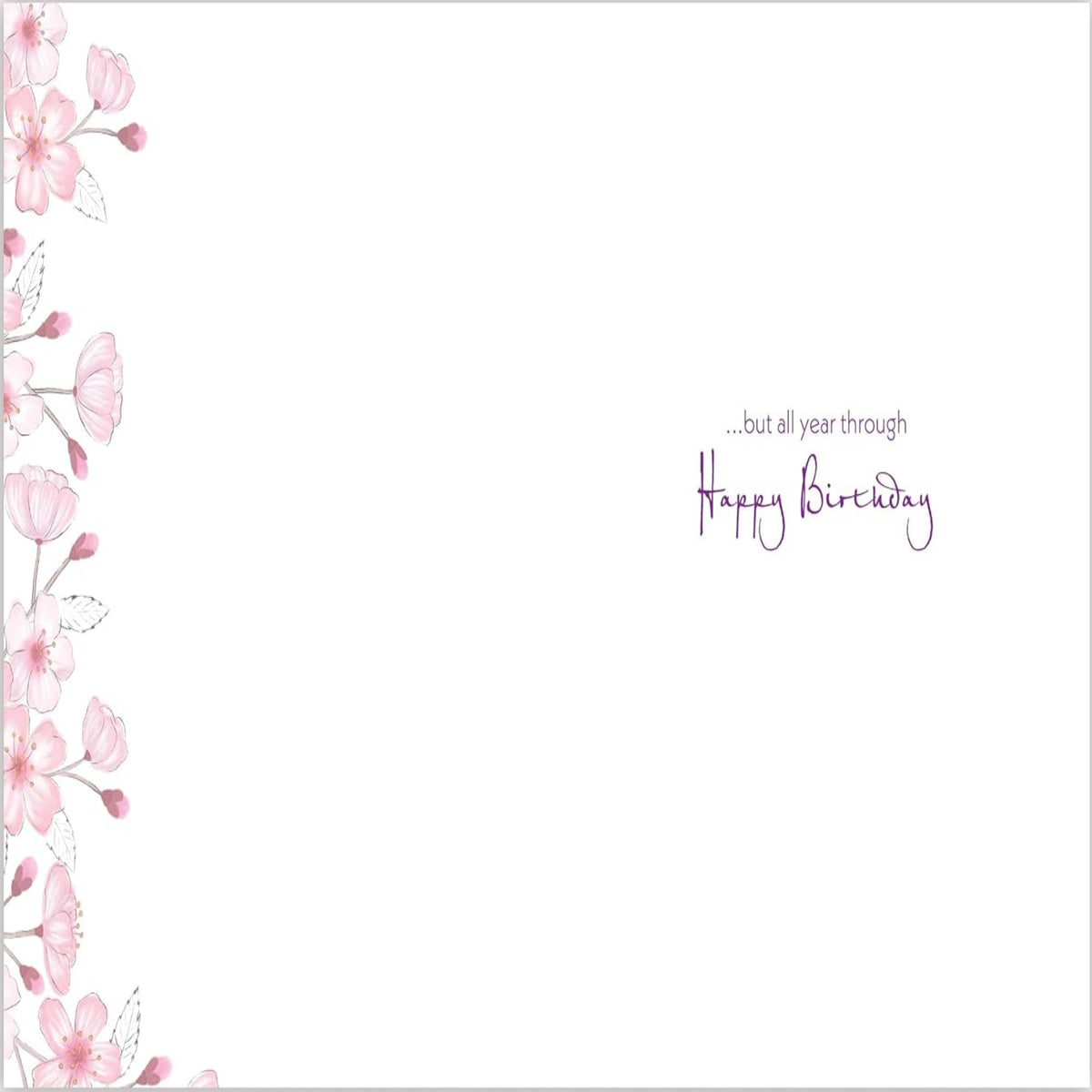 Piccadilly Greetings Female Birthday Card   –   Pink Blossom Design   -    8  x  6 inches