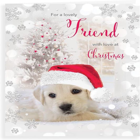 Piccadilly Greetings Friend Photo Christmas Card - 8 x 6 inches