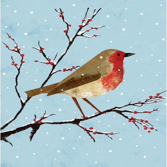 Piccadilly Greetings Traditional Robin Christmas Card     -     8    x   6   inches