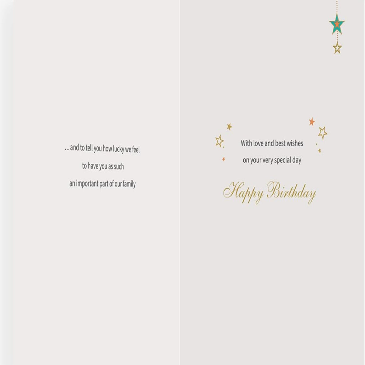 Regal Publishing Birthday Card for Son-in-Law    -   Green  -   9  x  6 inches