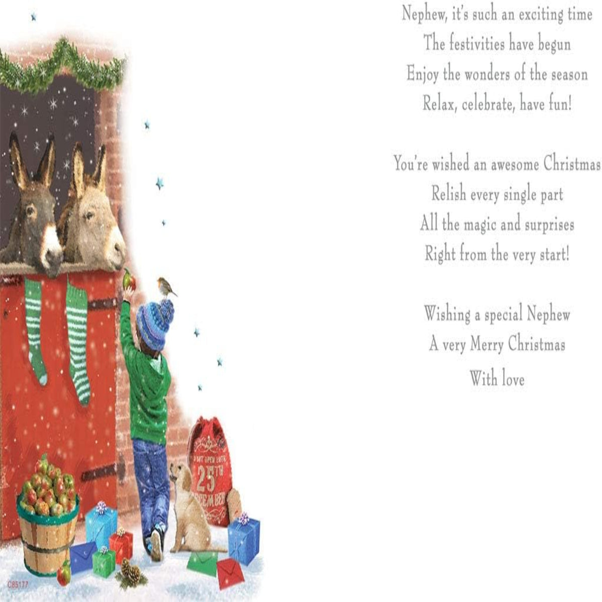 Regal Publishing Christmas Card for Nephew   -  9  x  6 inches