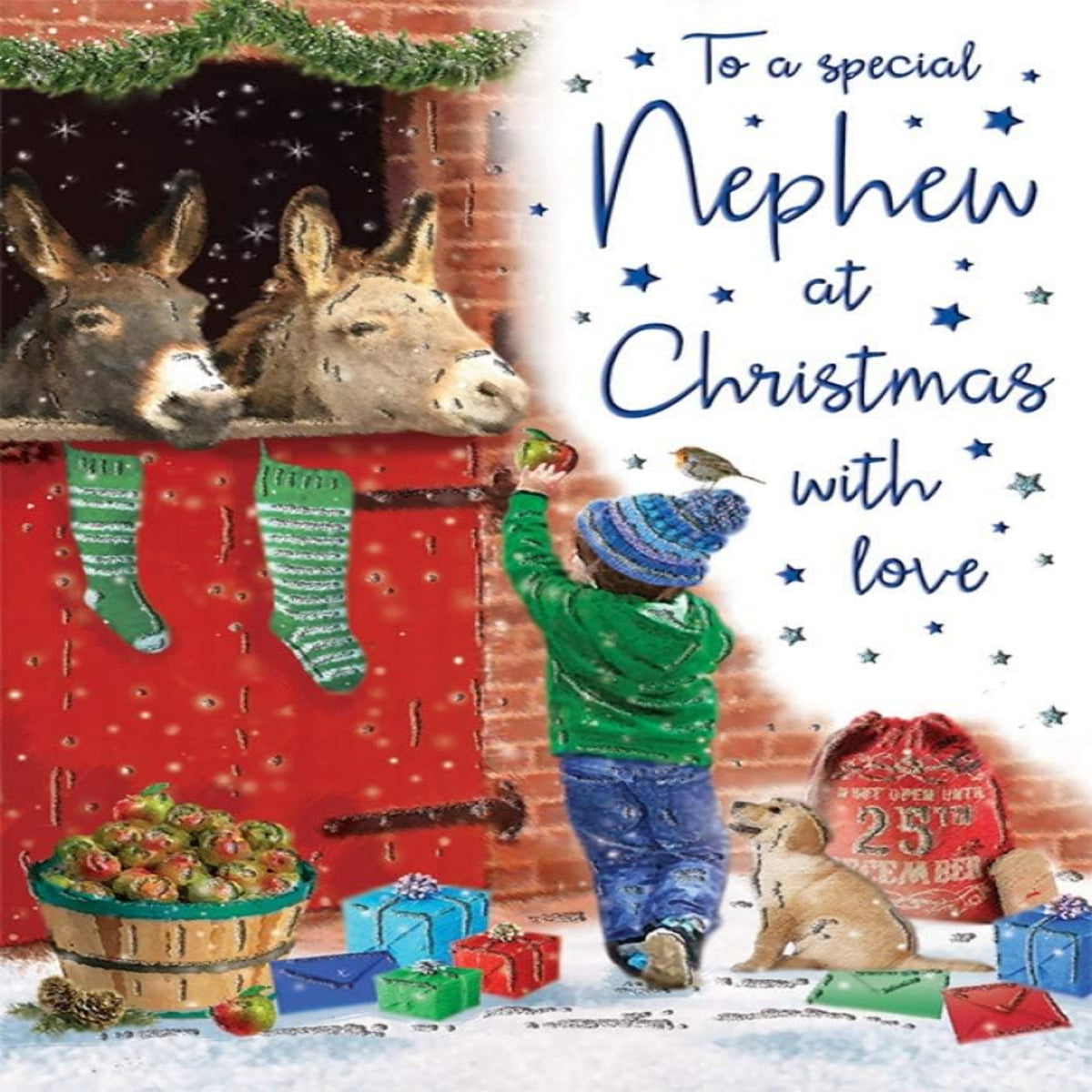 Regal Publishing Christmas Card for Nephew   -  9  x  6 inches