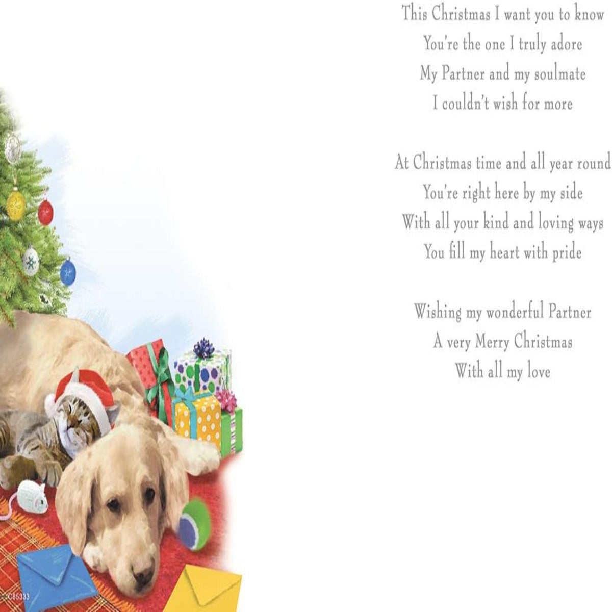 Regal Publishing Christmas Card for Partner | Traditional Cute Xmas Card  -   9 x 6 inches