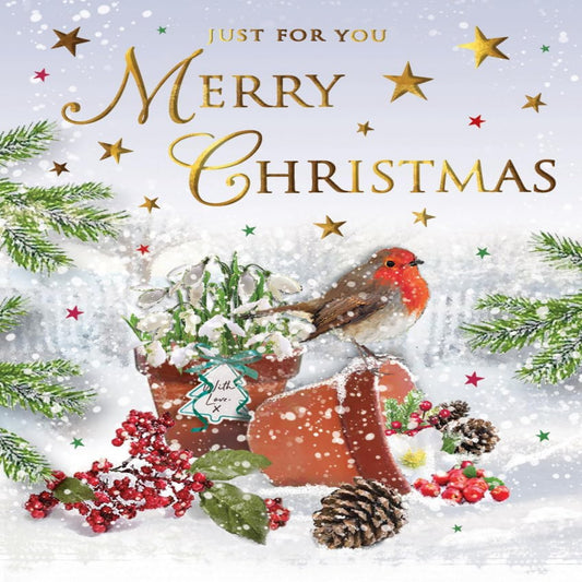 Regal Publishing Christmas Robin Card  –  Just for You  -  8 x 6 inches