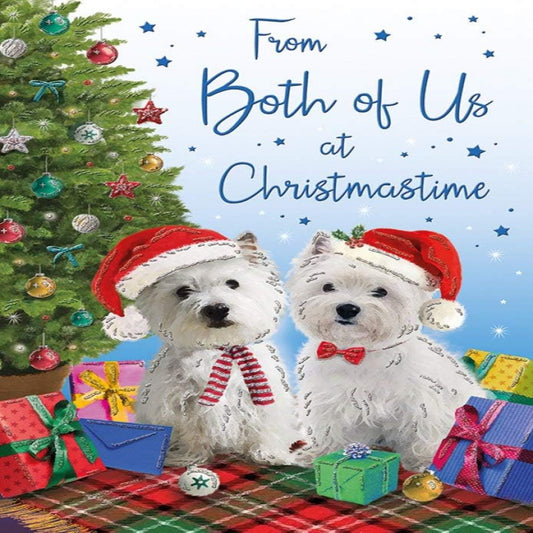 Regal Publishing Cute Traditional Christmas Card from Both of Us -  9 x 6 inches