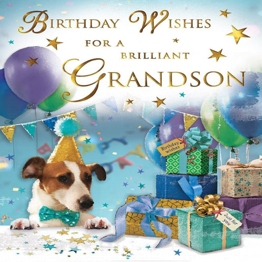Regal Publishing Grandson Birthday Card with Dog Design   -   8   x   6   inches