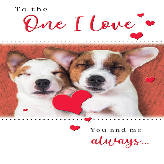 Valentine's Day Card for The One I Love Puppy Design  -   9  x  6 inches